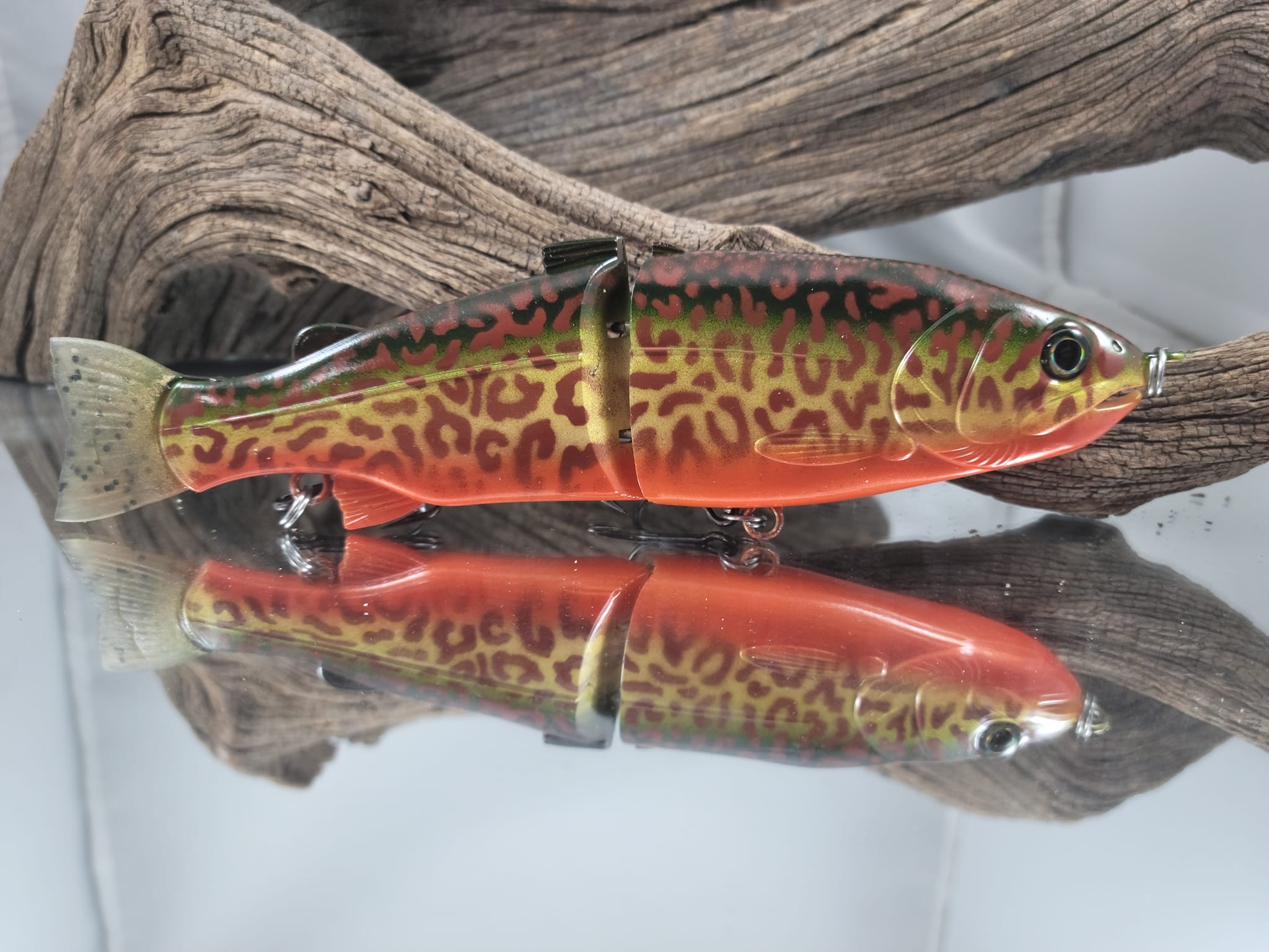 Stocker Trout Glidebait