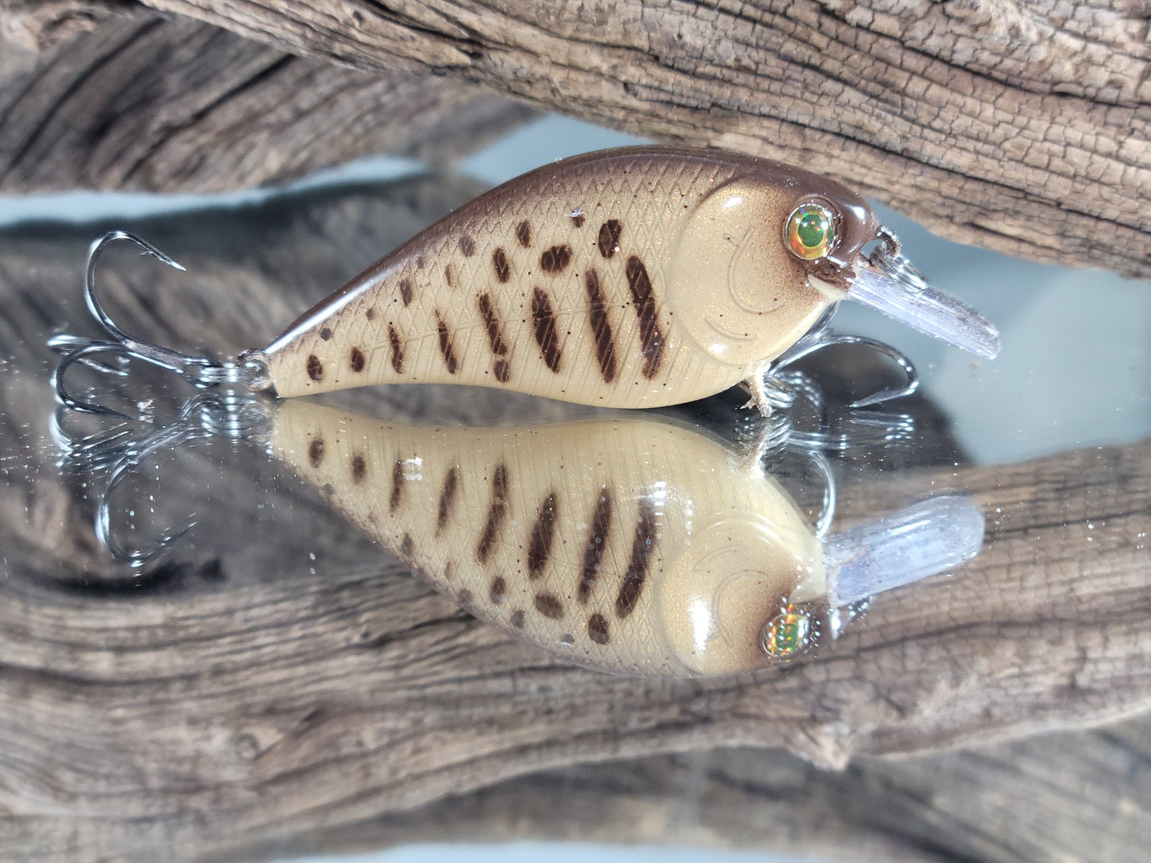 1.5 squarebill - Smallmouth Fingerling - Clyde's Cranks